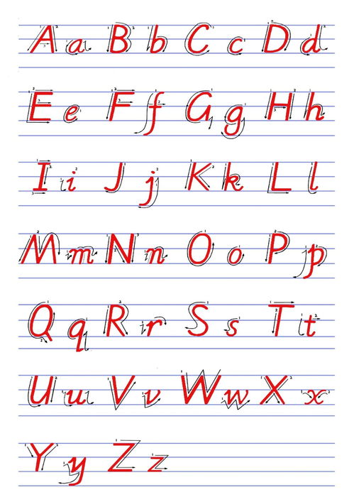 p书写格式英文字母图片