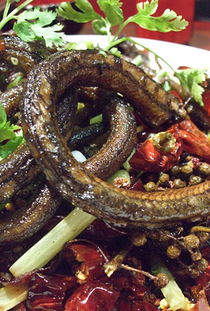 干煸盘龙鳝是河南周口的一道特色美食,经常会用来招待外来客人,六味俱