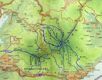 夜爬梧桐山登山路線大攻略