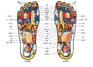 腳心的準確位置圖片