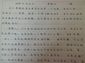 1,開頭簡介 2,記事 3,自評(優,缺)4,解決措施 5,下週