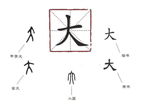 漢字演變過程時間排序正確的是什麼