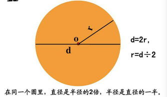 圓的面積計算方法圓的面積計算公式例題