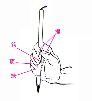 毛笔的拿法有几种怎么拿?