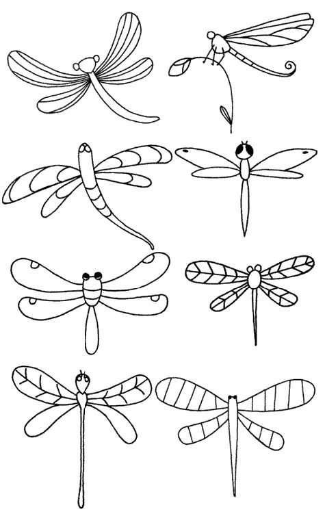 蜻蜓百态画法图片