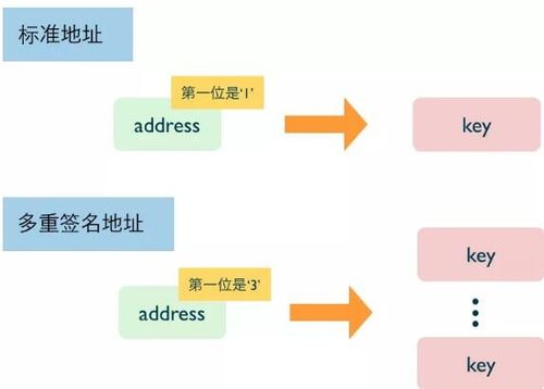 機制是什麼意思