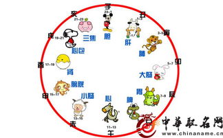 出生時辰對照表屬相十二時辰對照表屬相