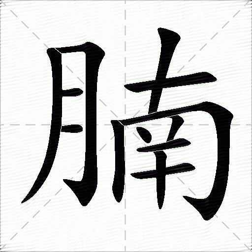 腩什麼意思解釋腩字筆畫筆順腩拼音組詞