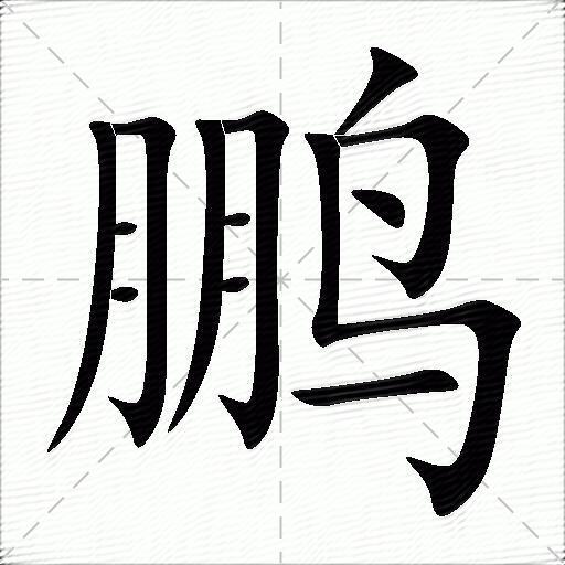 鹏什么意思解释,鹏字笔画笔顺,鹏拼音组词