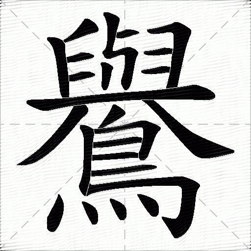 鸒什麼意思解釋,鸒字筆畫筆順,鸒拼音組詞_競價網