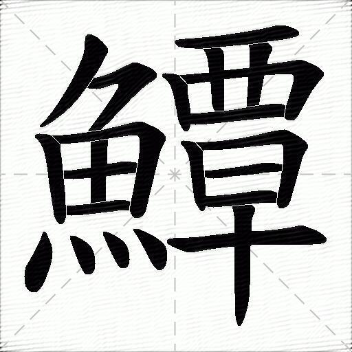 鱏什麼意思解釋鱏字筆畫筆順鱏拼音組詞