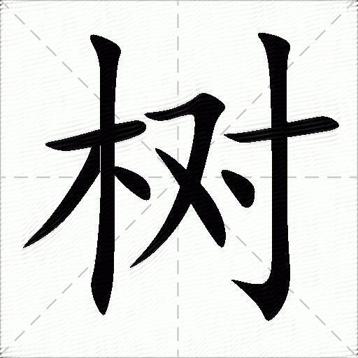 树什么意思解释树字笔画笔顺树拼音组词