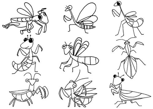 螳螂怎麼畫又簡單又帥螳螂怎麼畫簡單又好看