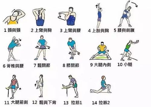 热身运动八个步骤图片图片