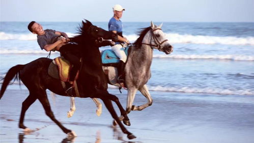 01 不要穿鞋跟過長的鞋騎馬,比如高跟鞋,不然可能會導致鞋跟過長勾住