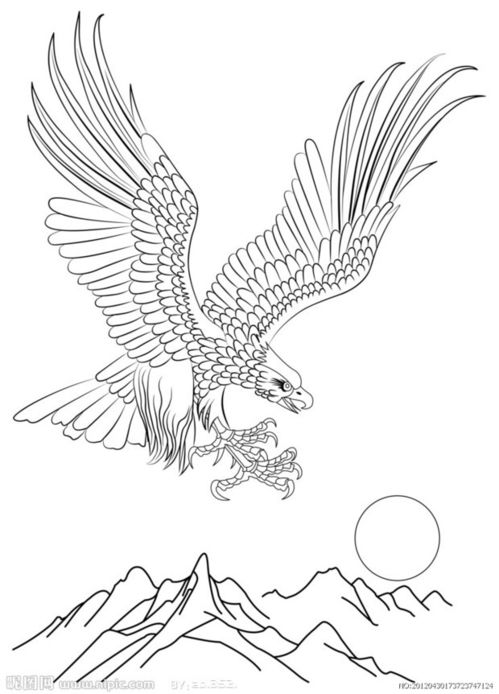 老鹰画法手绘图片