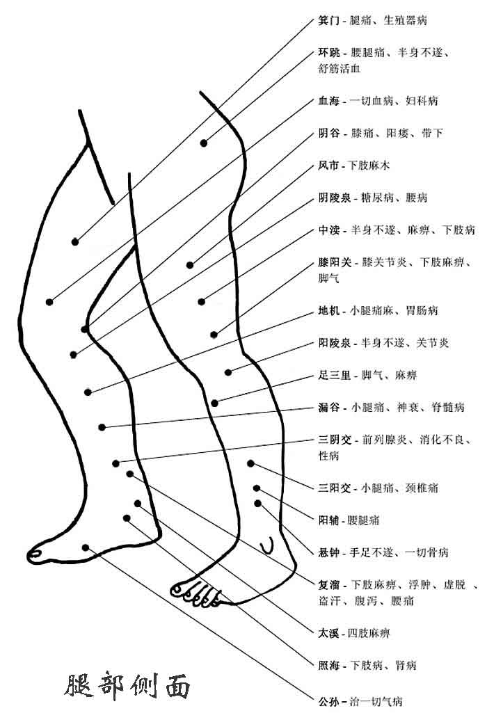 築賓準確位置圖和作用及功效