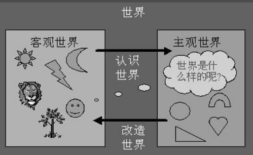 客觀原因和主觀原因分別是什麼意思