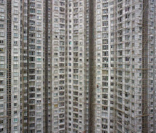 香港常住人口多少人