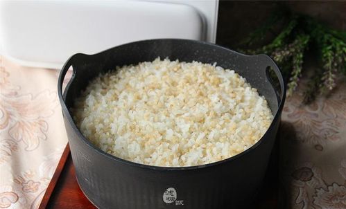 糙米飯怎麼做才能蒸爛,糙米飯怎麼煮才能煮軟_競價網