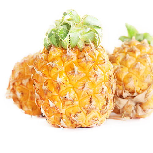 泰国布兰小菠萝图片