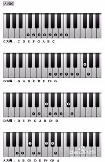 钢琴键盘图片 88键