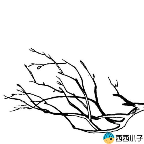 春天的树枝简笔画图片