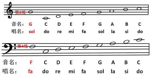 低音譜號五線譜認法 圖解,低音譜號的do在哪裡_競價網