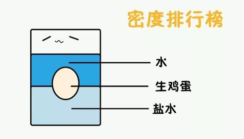 盐水浮鸡蛋的原理简单40字