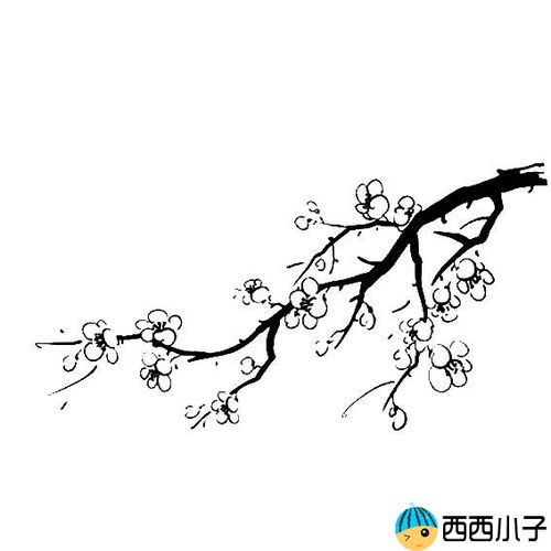 梅花怎么画才好看图片