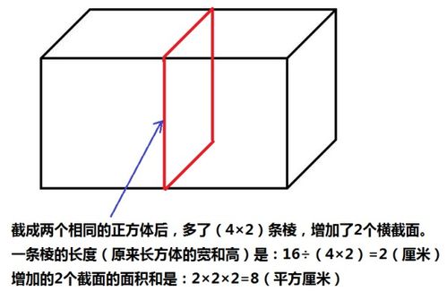 正方体表面积计算公式字母,长方体表面积计算公式字母