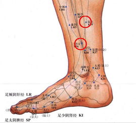 三陰的準確位置圖片和功效