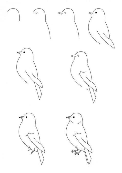 鸟的图画怎么画简单图片