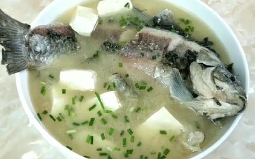 鯽魚豆腐湯怎麼做好吃又白