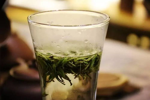 綠茶怎麼泡多少°c的水