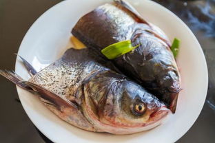 鰱魚頭湯的做法,鰱魚頭燉豆腐的家常做法_競價網