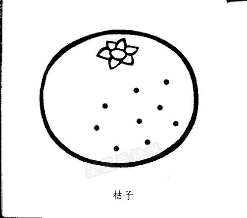 橘子怎么画 橘子简笔画教程