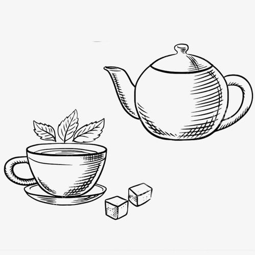 茶树或者茶丛的简笔画?