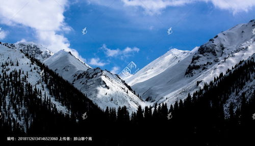 地理位置 天山山系位於歐亞大陸腹地,平均海拔約4000米,東起中國新疆