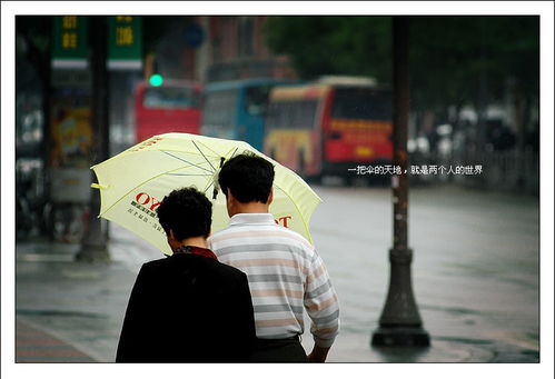 <雨中节奏>: - Rhythm Of The Rain 英文歌词