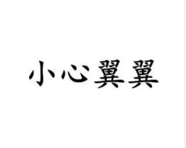 小心翼翼的意思10字