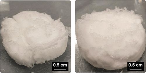 纖維蛋白原是指什麼