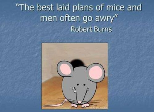 老鼠的英文复数是什么?