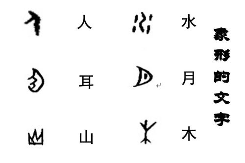 常見的象形字有山,人,弓,口,目,魚,又,木,虎,鳥.