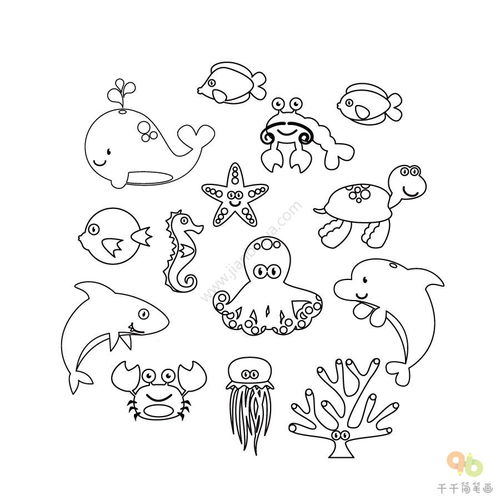 海底动物简笔画图片大全,怎么画海底动物简笔画