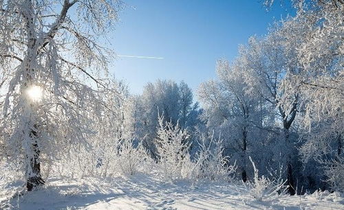 忽然下的一场雪,飘得那么纯洁,将我埋葬在你的世界 是什么歌? ? ?_百 