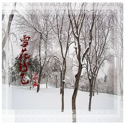 韩雪《纷飞》的歌词