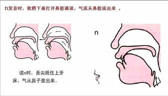 后鼻音怎么发音图解图片