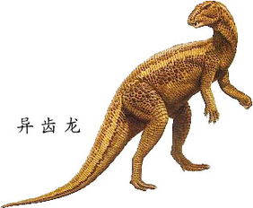 恐龙名字中文版图片