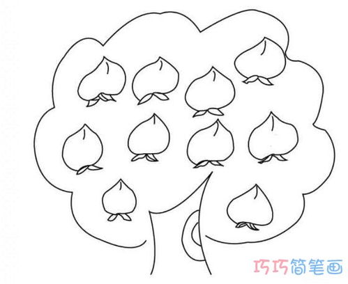 小学生简笔画桃花树图片